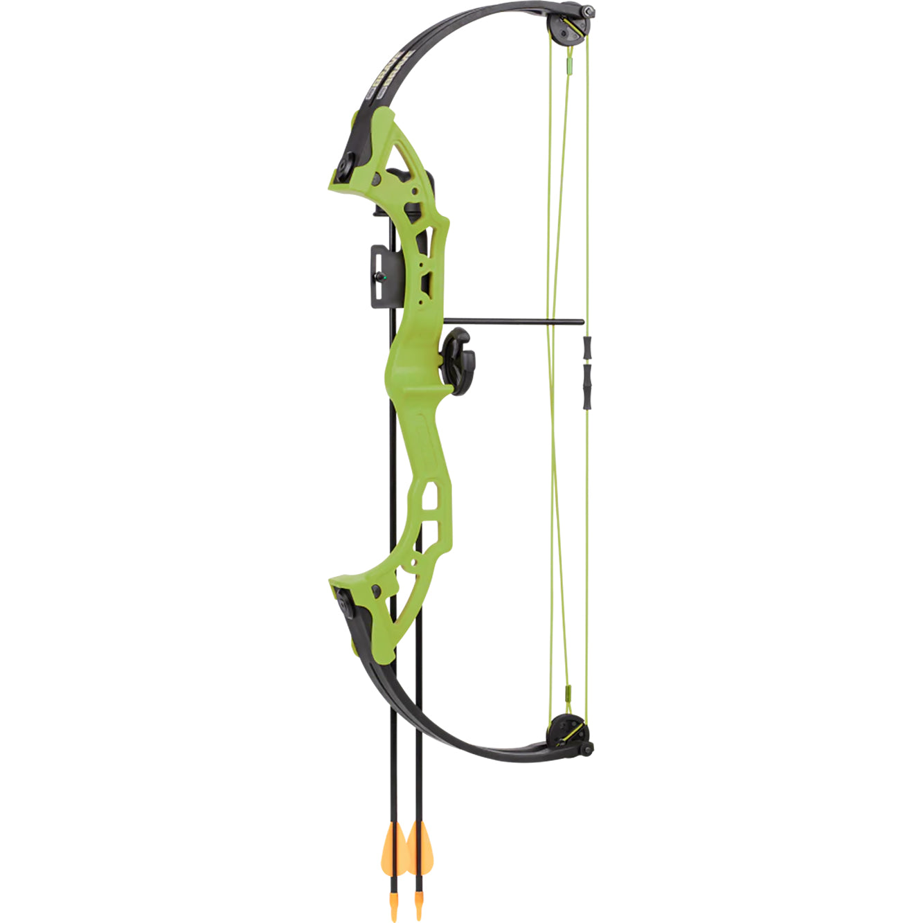 Bear Archery Brave (Right Hand)