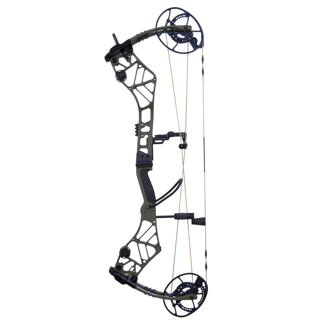 Bear Archery Persist (Right Hand)