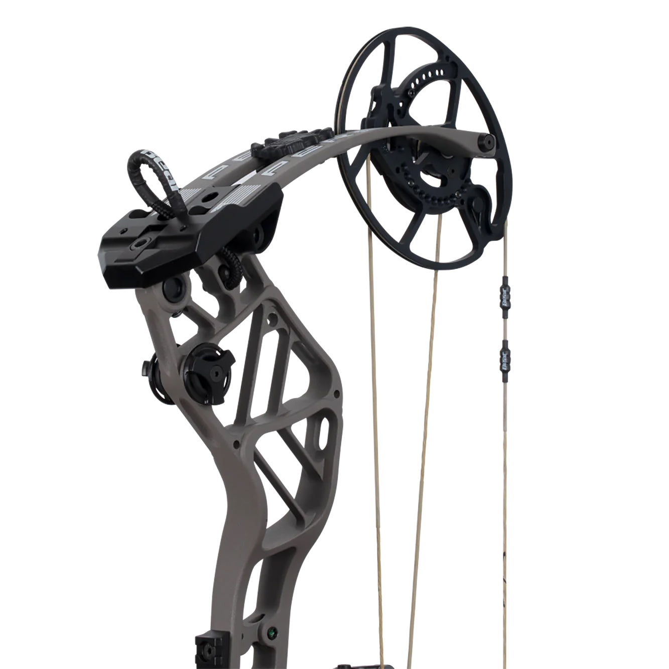 Bear Archery Persist (Right Hand)