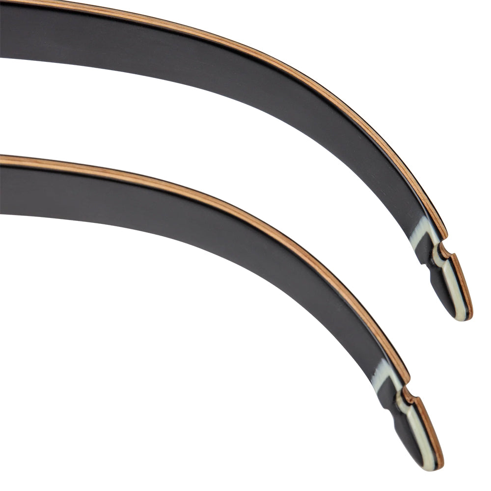 Bear Archery Take Down Limbs Black Glass (#1)