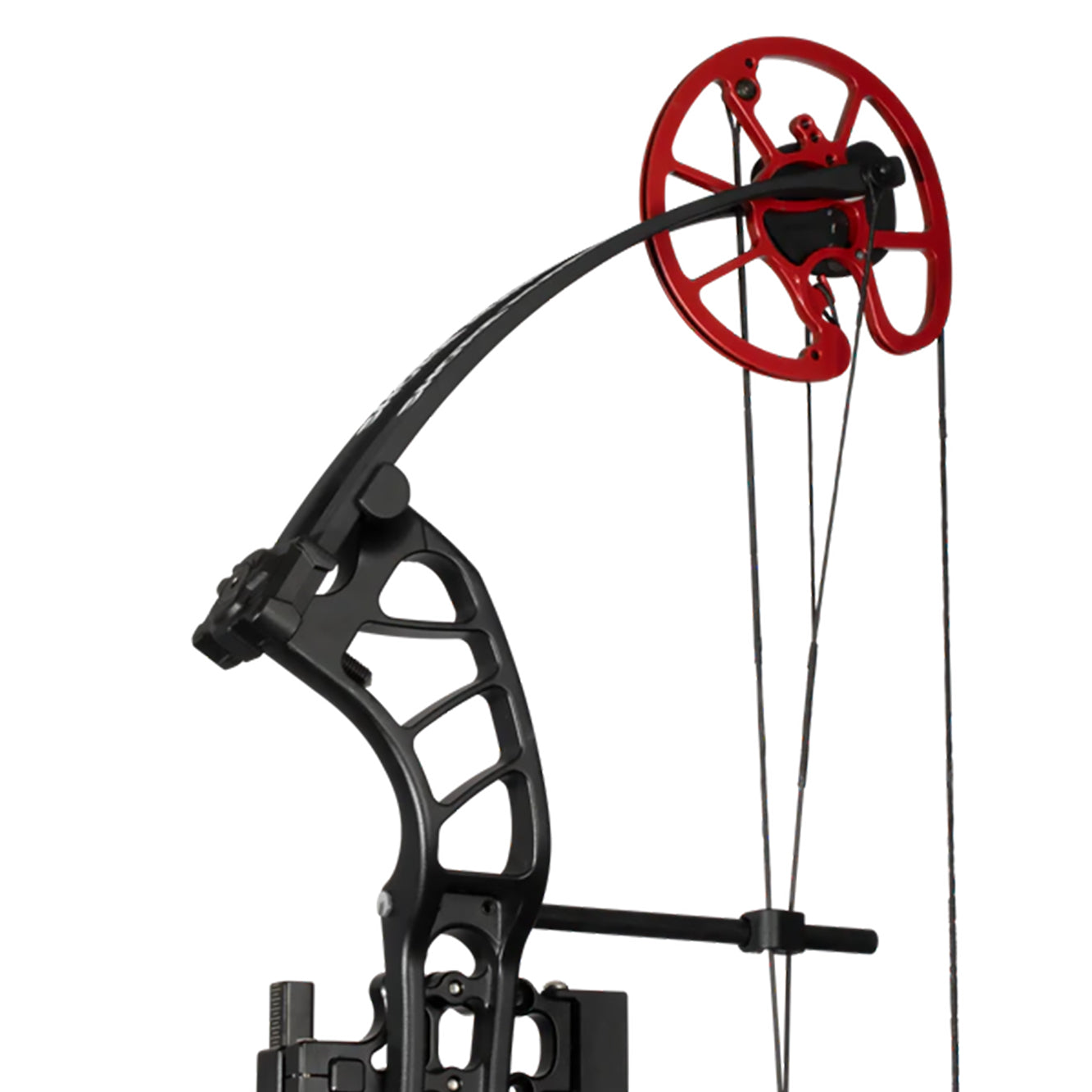 Cajun Bowfishing Shore Runner EVW Bowfishing Bow (Right Hand)