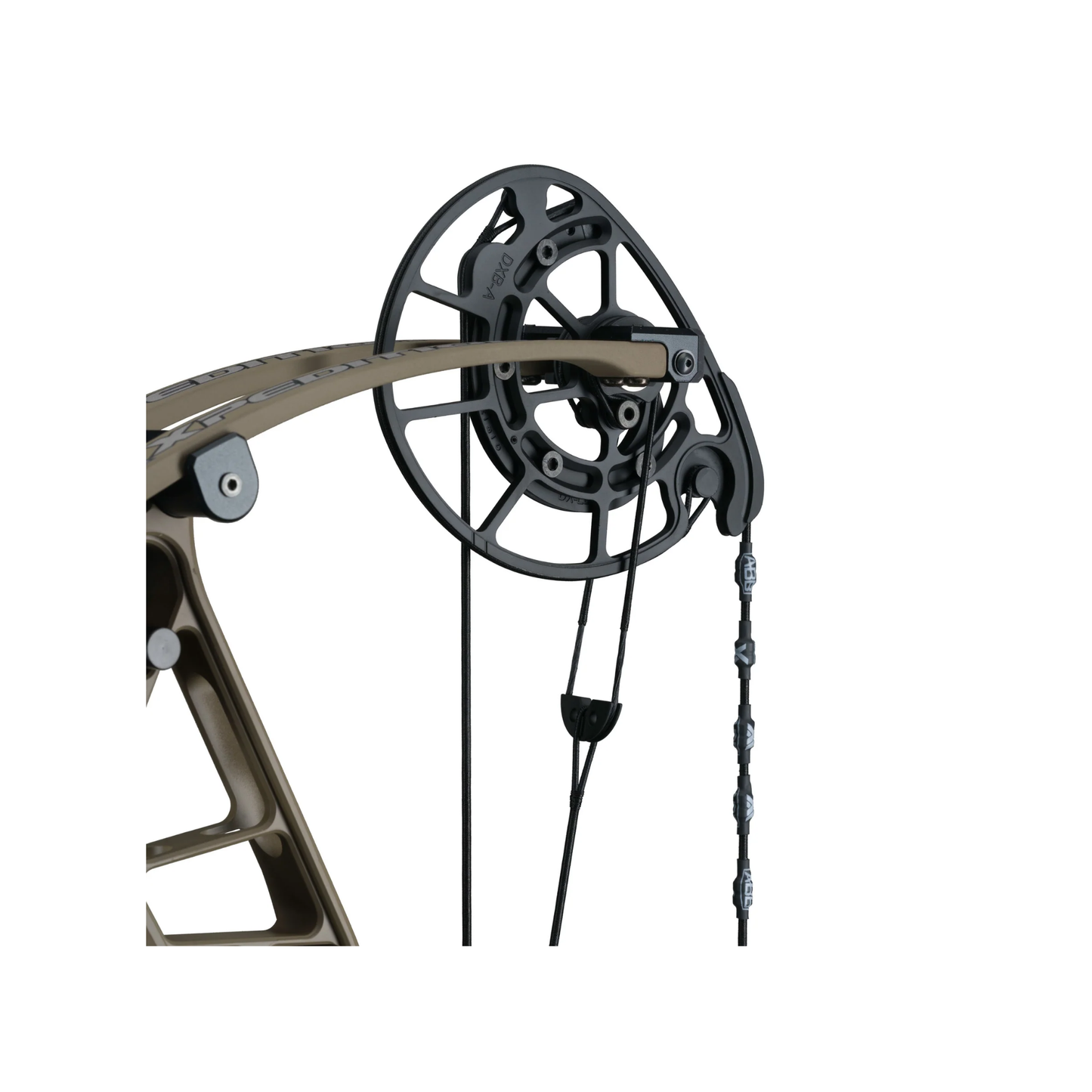 Xpedition Archery NexLite™ 30 (Right Hand)
