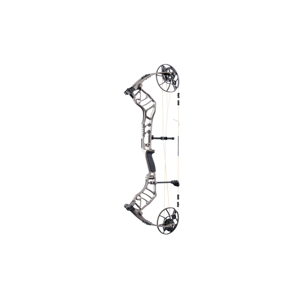 Bear Archery Legend 30 (Right Hand) RTH