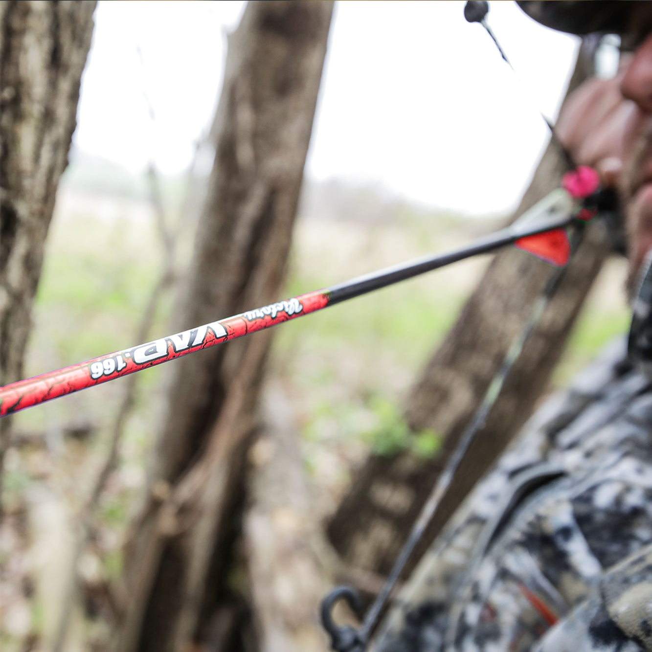 Victory Archery VAP Sport Hunting Fletched Arrow (6-Pack)