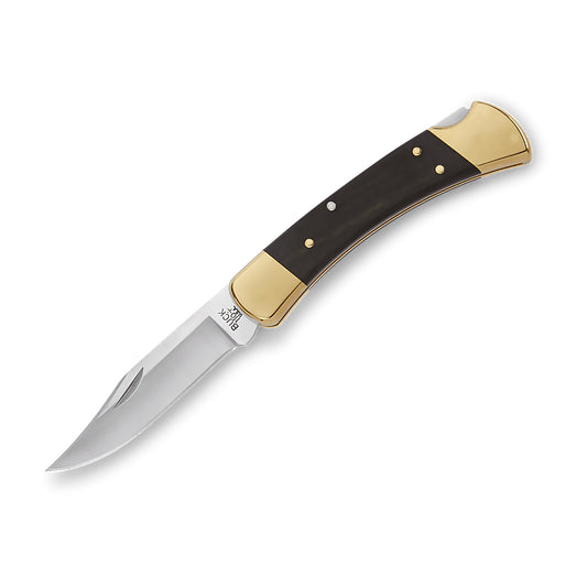 Buck® Knives 110 Folding Hunter® Knife