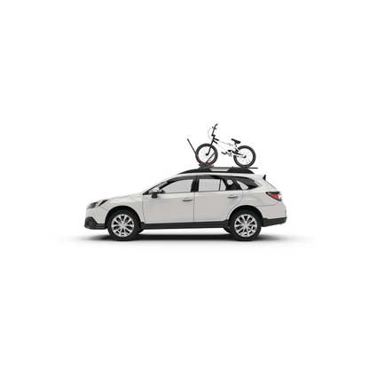 FrontLoader Rooftop Upright Bike Mount