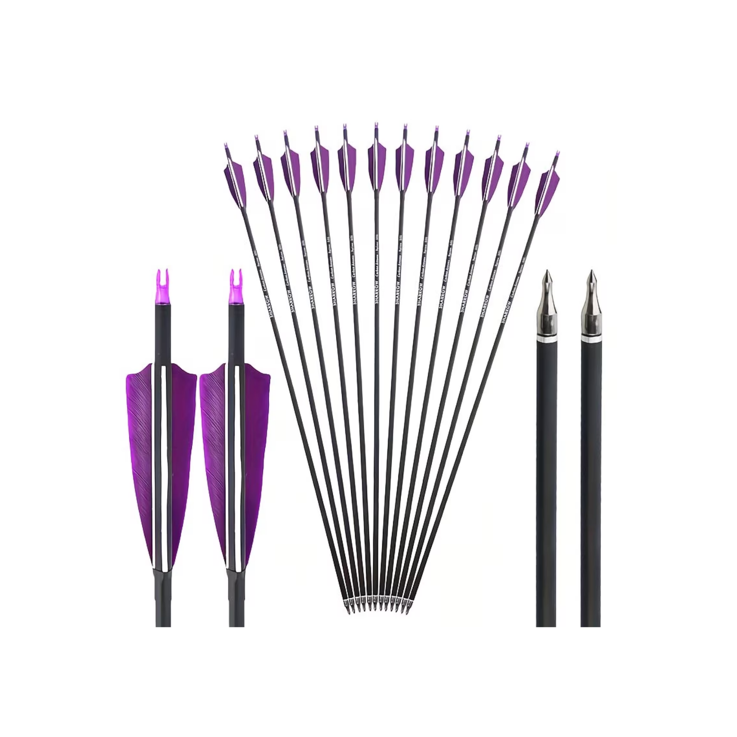 Sharrow Single Arrows