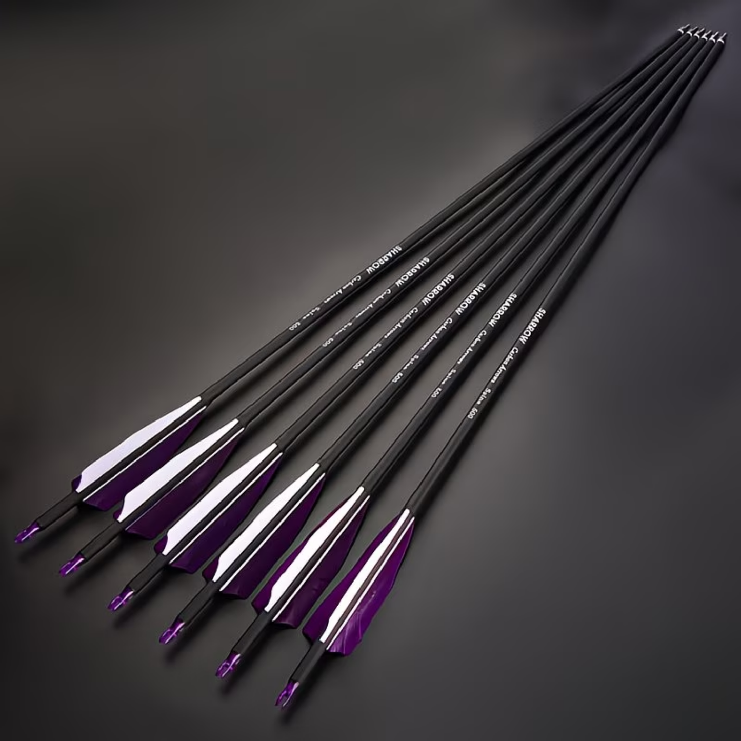 Sharrow Single Arrows