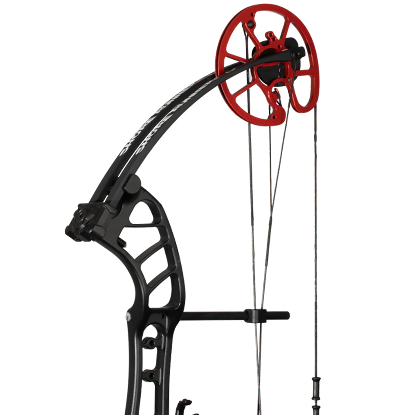 Cajun Bowfishing Shore Runner EVS Bowfishing Bow (Right Hand)