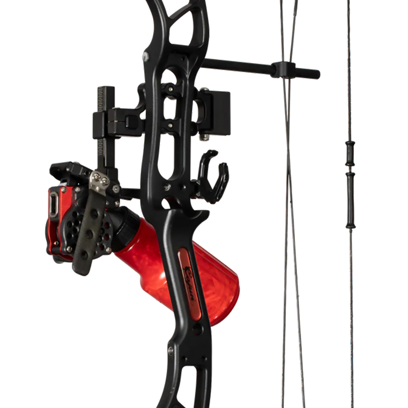 Cajun Bowfishing Shore Runner EVW Bowfishing Bow (Right Hand)