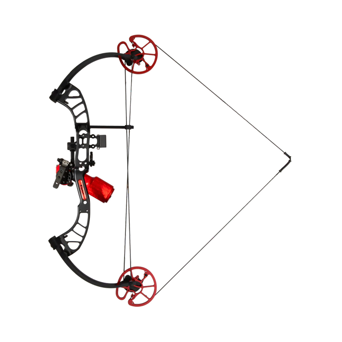 Cajun Bowfishing Shore Runner EVW Bowfishing Bow (Right Hand)