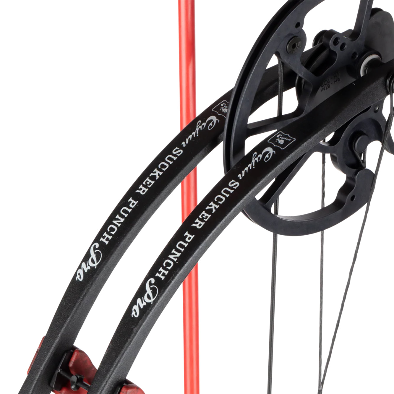 Cajun Bowfishing Sucker Punch Pro RTF Bowfishing Bow Kit (Right Hand)