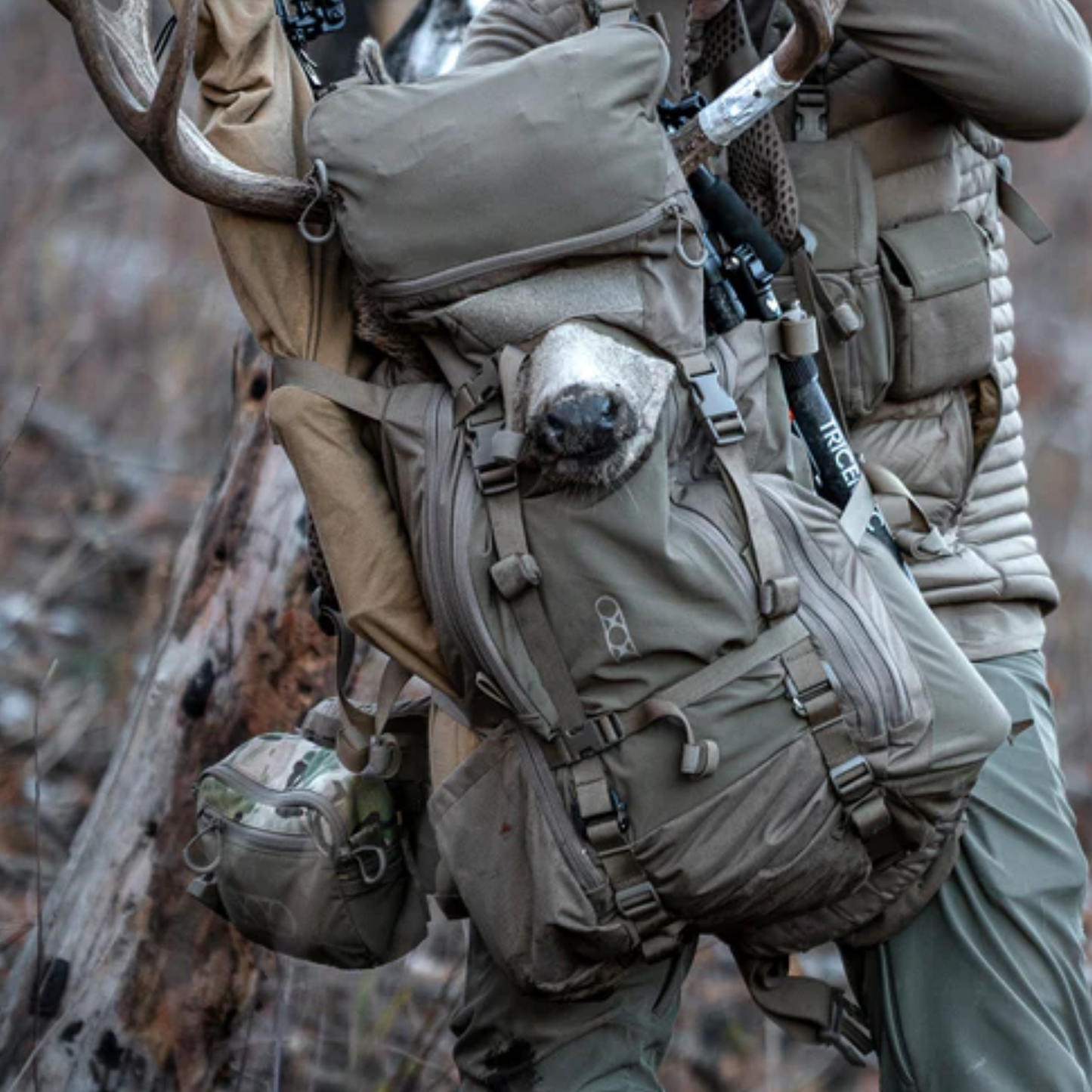 Eberlestock Pack LID