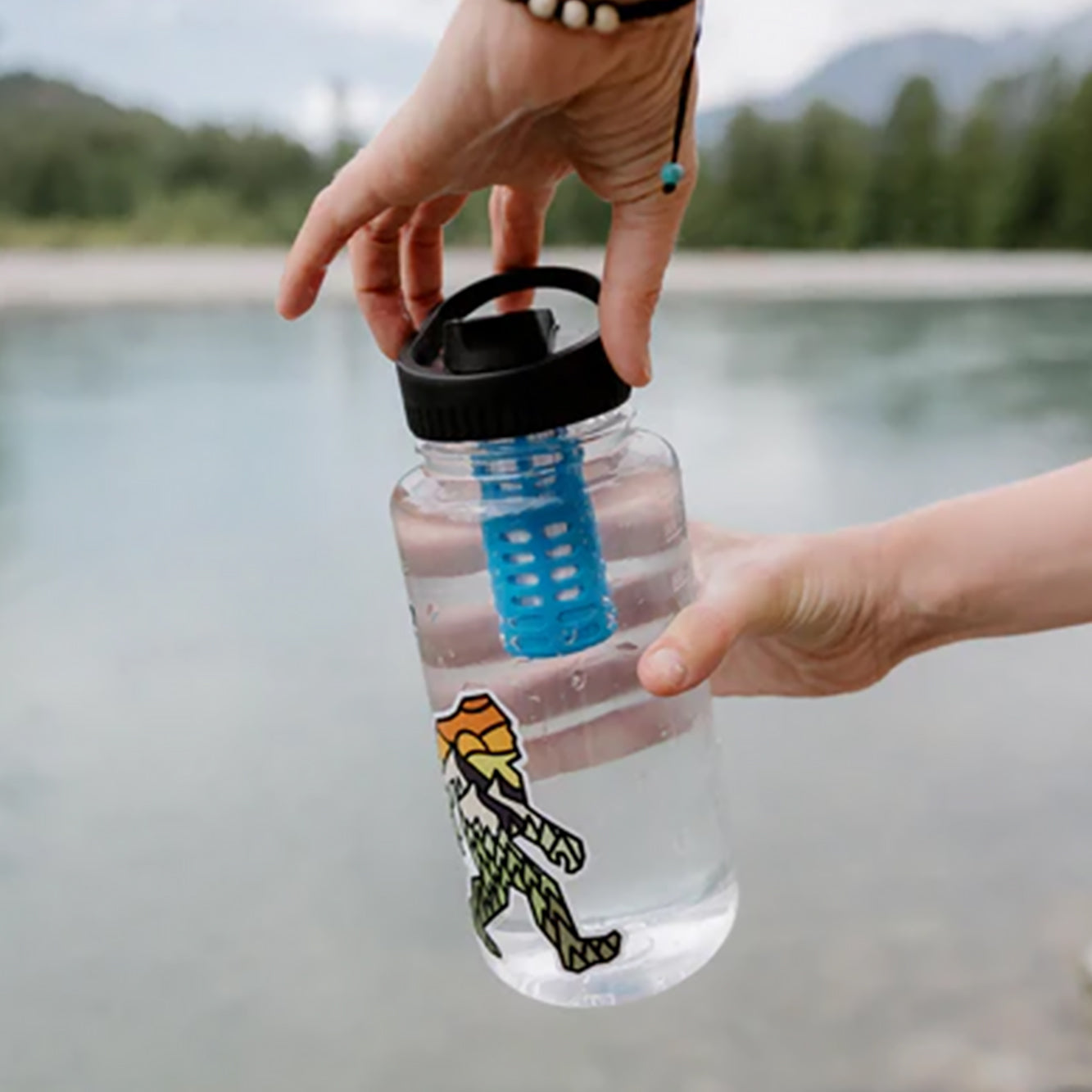 Platypus Day Cap In-Bottle Filter
