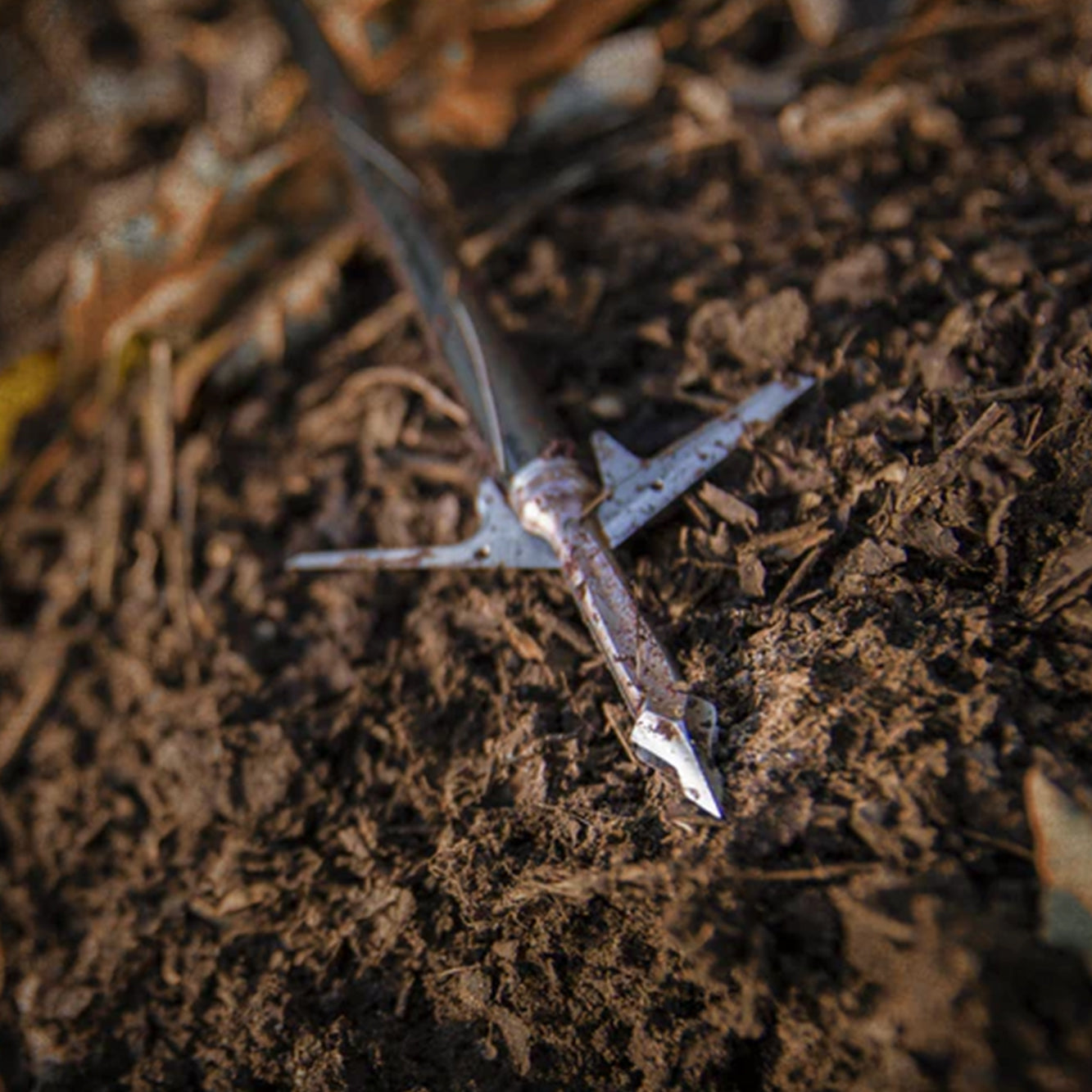 Slick Trick Broadheads Raptortrick (3-Pack)