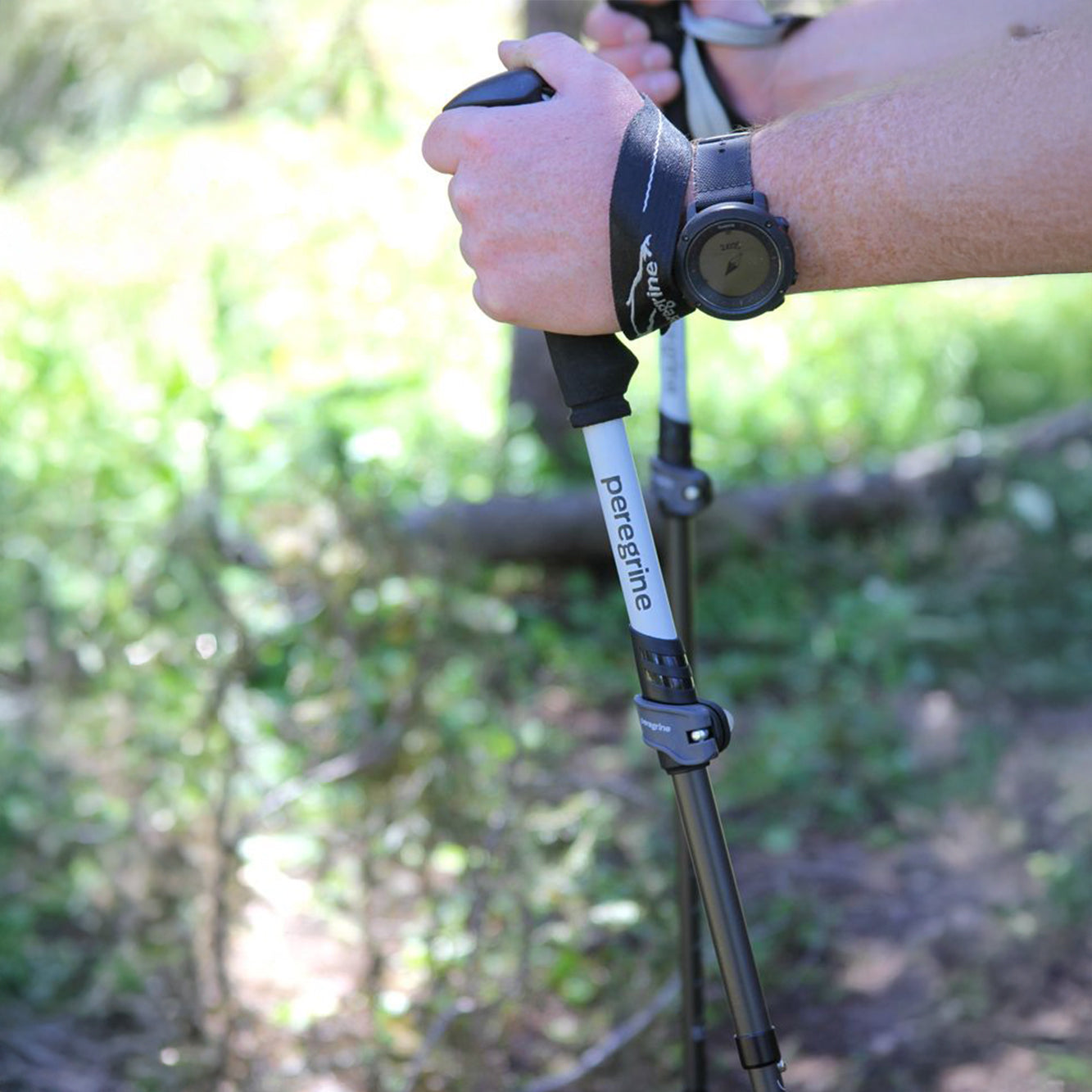 Peregrine Uinta Carbon Telescoping Trekking Pole