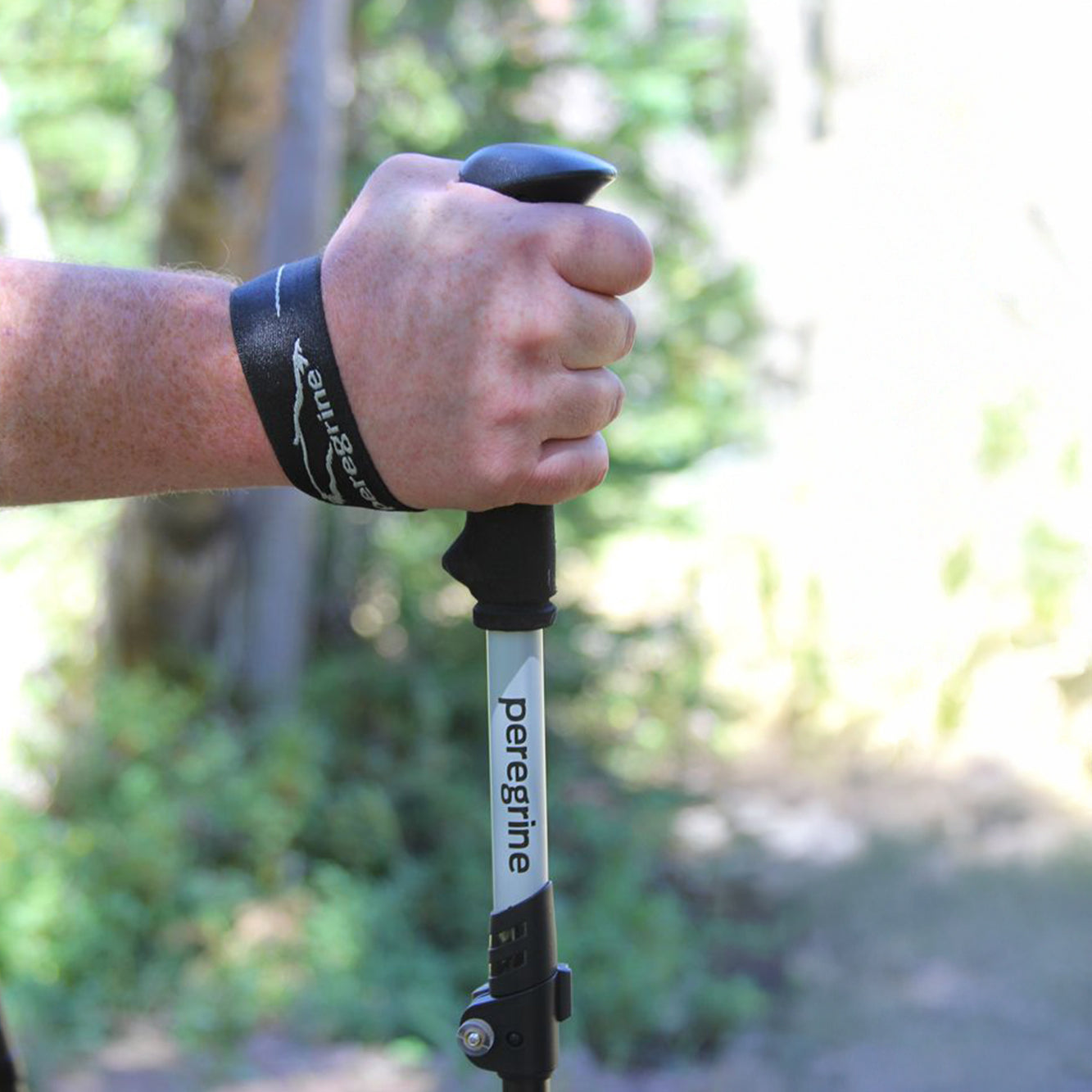 Peregrine Uinta Carbon Telescoping Trekking Pole