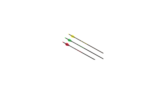 Victory Archery VFORCE TKO Gamer Hunting Arrow (6-Pack)